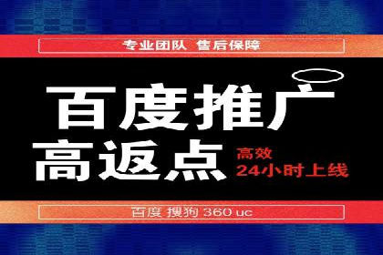 案例分析：高效信息流广告投放策略